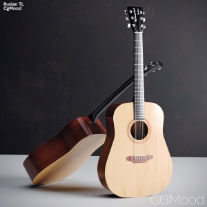 Acoustic Guitar