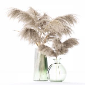 The Reeds In The Vase