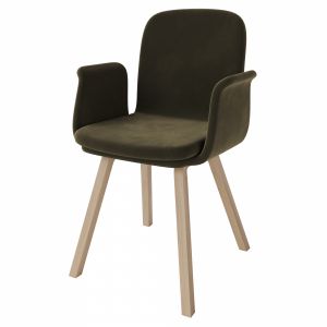 Palm Upholstered Dining Chair With Armrest