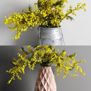 Mimosa Bouquet .vol01