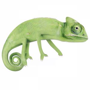 Chameleon