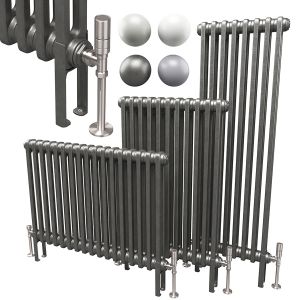 Butler And Rose 2 Column Radiator