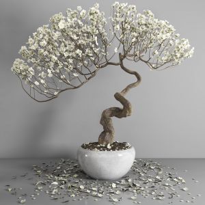 Bonsai_102