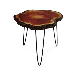 Tree Trunk Rustic Coffee Table