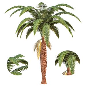 Palm Tree