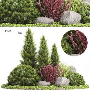 Set Plants 223 - Outdoor Garden