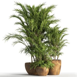 Indoor Plant Set 30