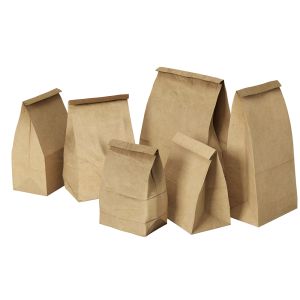 Paper Bag 1