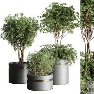 Tree Pots And Shrubs-bush Collection 74 Metal Vase