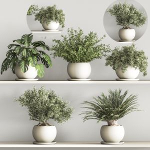 Hanging Plants And Indoor Plant Set 60