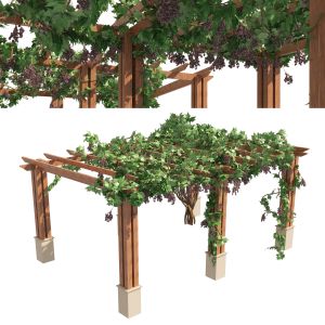 2 Grape Vine Pergola