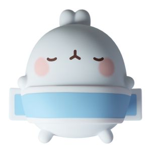 Sleeping Molang