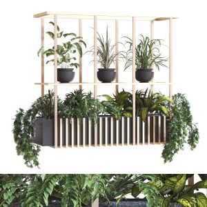 Indoor Plant Set 279