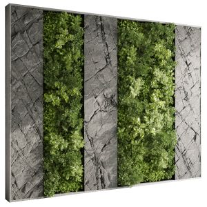 Vertical Wall Garden With Rack Frame