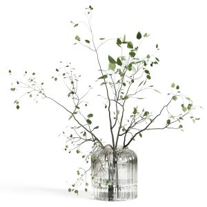 Branches Plant With Galss Vase White  Bouquet 22