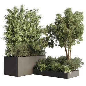 Collection Outdoor Plant 73 Concrete Dirt Vase Box