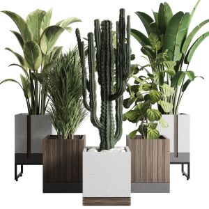 Collection Indoor Outdoor Plant 163 Wooden And Con