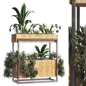 Interior Plant In Box Set 287