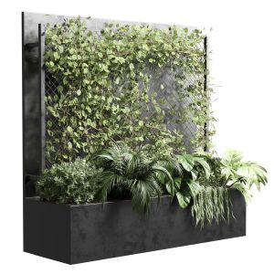 Ivy On Fence Fitowall - Vertical Garden Box 01