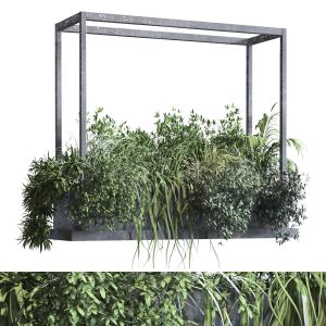 Interior Plant In Box Set 301