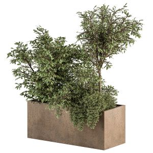 Outdoor Plant Set 253 - Plant Box Set