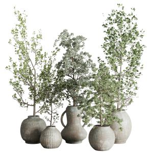 Collection Indoor Plant 240 Pot Tree Bush Concrete