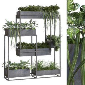 Interior Vertical Plant Set 307