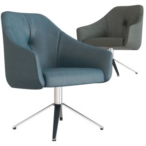 Ds-278 Armchair By De Sede Design Christian Werner