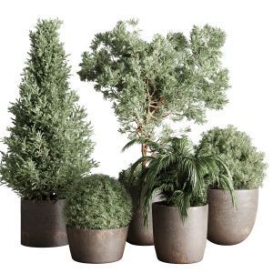 Collection Outdoor Indoor Plant 111 Concrete Dirt