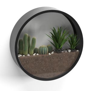 Wall-mounted Round Florarium