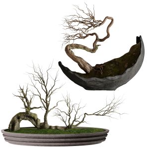 Bonsai Set 4