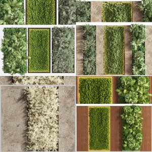 10 Planks And Vertical Garden Vol 1