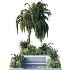 Concrete Stair Garden With Palm Trees Shrubs And