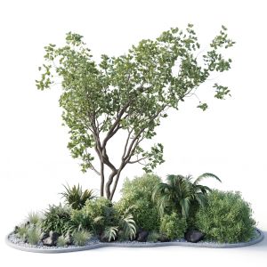 Garden Pot Tree Bush Collection Outdoor Indoor 1