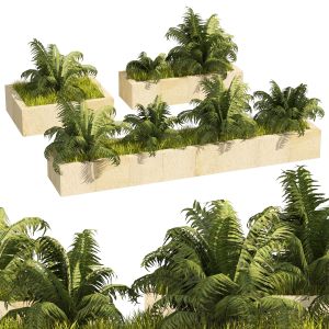 3 Street Border Plant, Low Poly