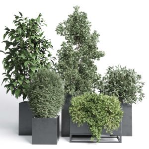 Outdoor Plant Collection 113 - Stand Plant Box