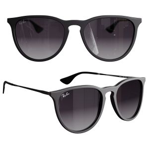 Rayban Erika Classic Sunglass