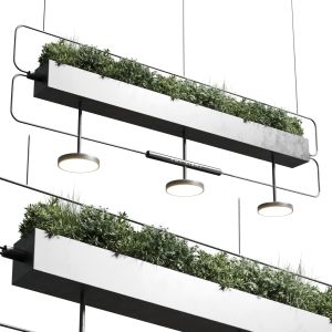 Pot Light Pendant  Plant Light Hanging 07