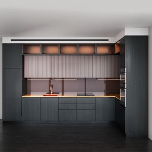 Contemporary Kitchen