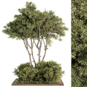 Garden Set Tree And Bush - Garden Set 21