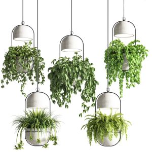 Indoor Plants Hanging Pot Concrete Vase 02