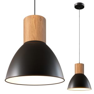 Elyona Industrial Pendant Light