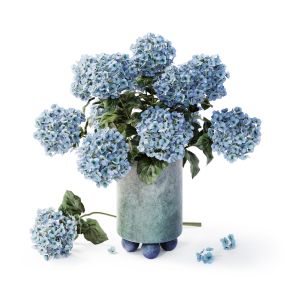 Hydrangea Blue