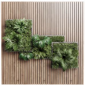 Plants Set Partition In Wooden Frame Vertical Gra