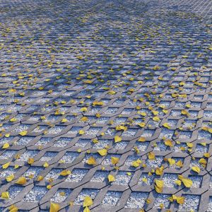 Pavement 16 8k Seamless Pbr Material