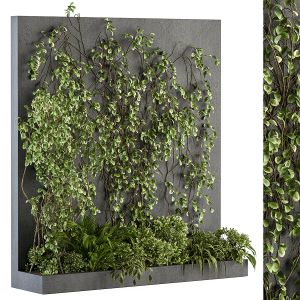 Vertical Garden - Outdoor Green Wall 42