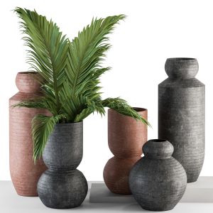 Vase And Plant Decorative Set - Set 101