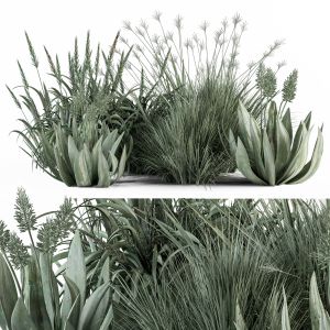 Mixed Plant Bush Aloevera - Bush Set 61