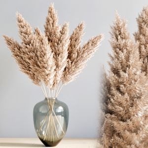 Pampas Vase