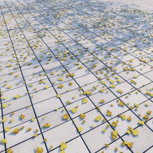 Pavement 01 8k Seamless Pbr Material